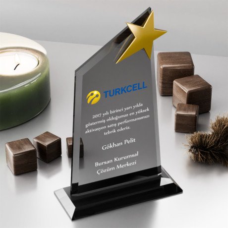 3003-fy-kristal-plaket-big-0