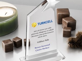 3003-y-kristal-plaket